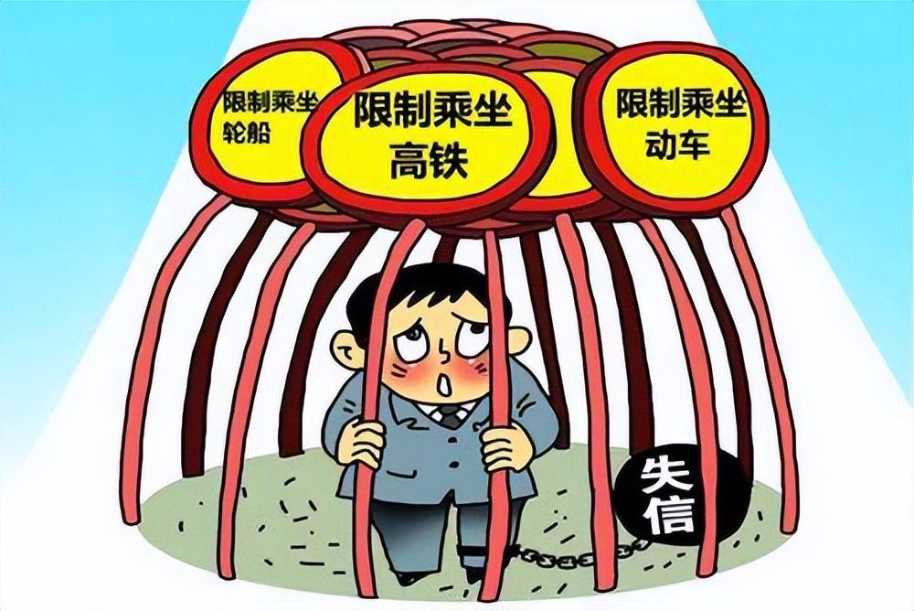 把乘坐飞机、高铁纳入限高范围是否合理