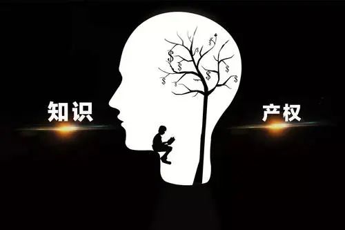 63fd601d7a9fd.jpg