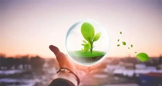 今日早报 | 国家发改委：健全统一的社会信用制度；北京市公布专技类培训机构2024年度诚信等级